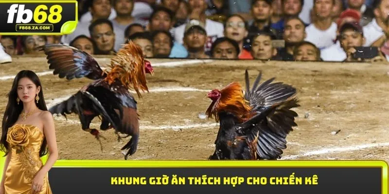 Khung giờ ăn thích hợp cho chiến kê