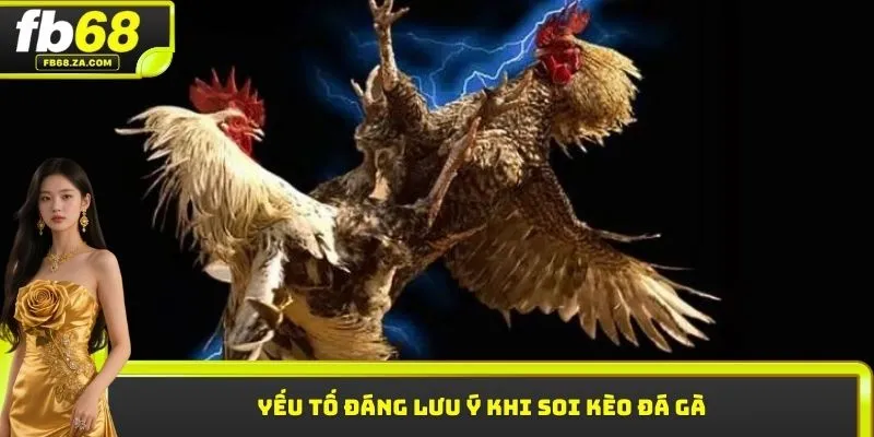 Yếu tố đáng lưu ý khi soi kèo đá gà